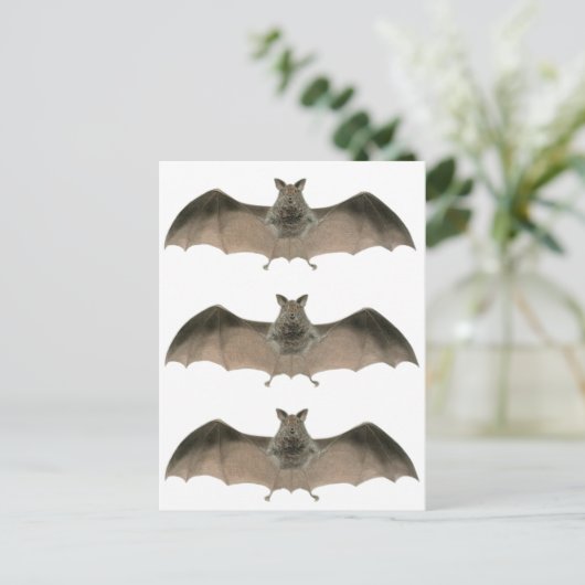 de vleermuis briefkaart (Staand voorkant)