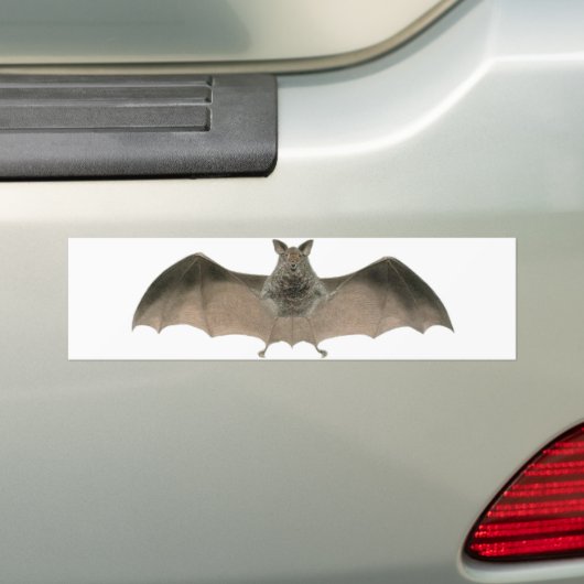 de vleermuis bumpersticker (Op auto)