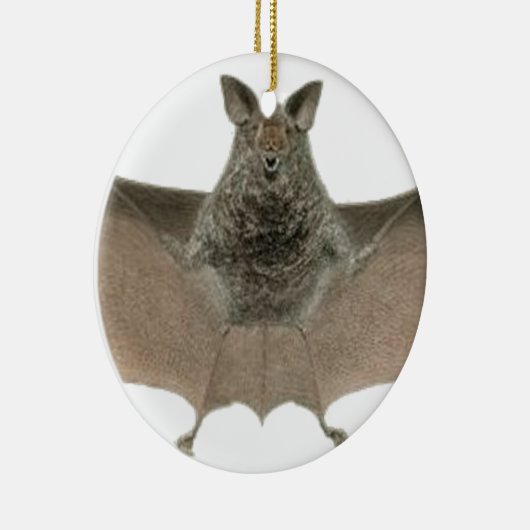 de vleermuis keramisch ornament (Rechts)