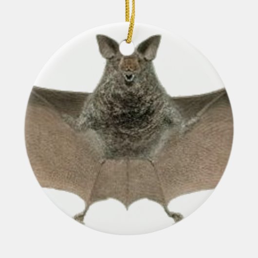 de vleermuis keramisch ornament (Voorkant)