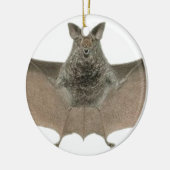 de vleermuis keramisch ornament (Links)