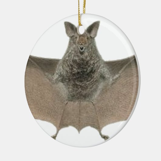 de vleermuis keramisch ornament (Links)