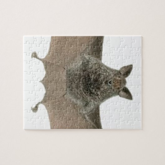 de vleermuis legpuzzel (Horizontaal)