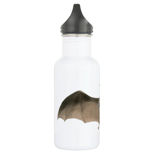 de vleermuis waterfles (Links)