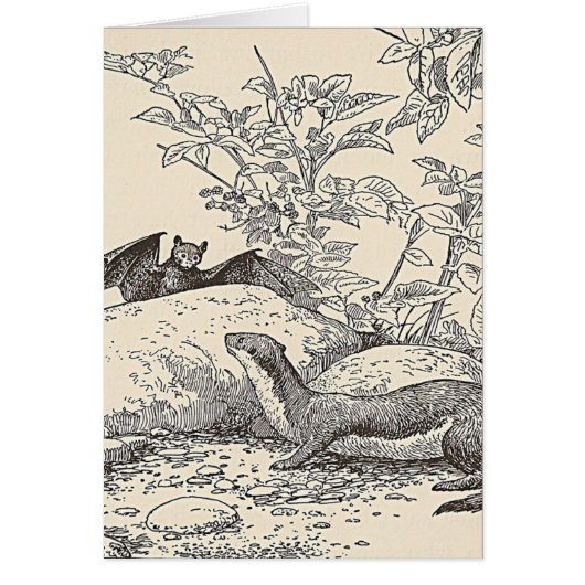 De vlek en de gootsteen (Voorkant)