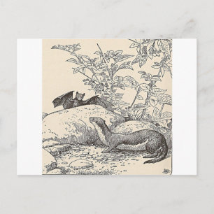 De vlek en de gootsteen briefkaart