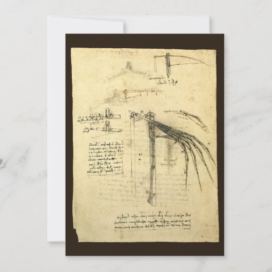 De vleugel van Leonardo da Vinci's vliegmachine sc (Voorkant)
