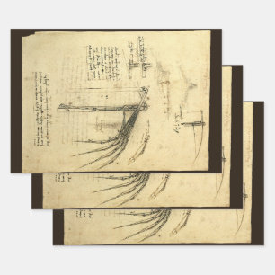 De vleugel van Leonardo da Vinci's vliegmachine sc Inpakpapier Vel