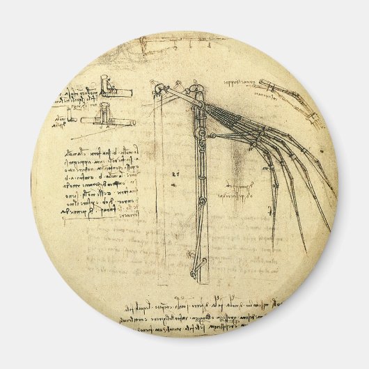 De vleugel van Leonardo da Vinci's vliegmachine sc Magneet (Voorkant)