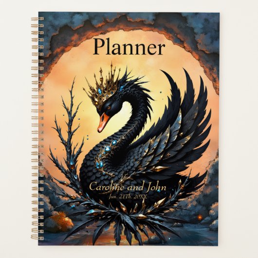 De Vleugelde Viool van de Maneschijn Rijken. Planner (Voorkant)