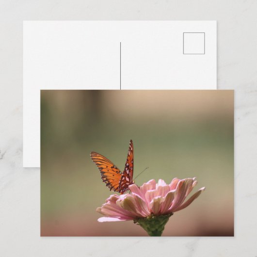 De vleugels - Butterfly Briefkaart (Voorkant / Achterkant)