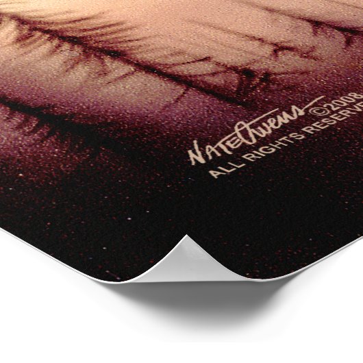 De vleugels van een adelaar poster (Hoek)