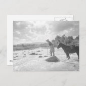 De vlieg die van Frances Phelps Belden in de Briefkaart (Voorkant / Achterkant)