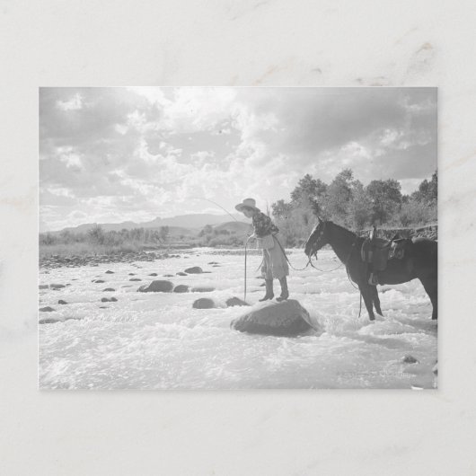 De vlieg die van Frances Phelps Belden in de Briefkaart (Voorkant)