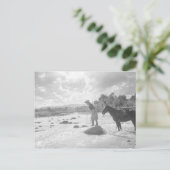 De vlieg die van Frances Phelps Belden in de Briefkaart (Staand voorkant)