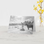 De vlieg die van Frances Phelps Belden in de Kaart (Gele Bloem)