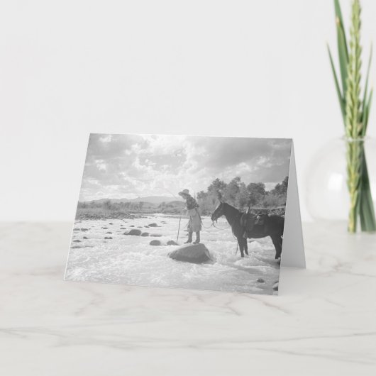 De vlieg die van Frances Phelps Belden in de Kaart (Voorkant)