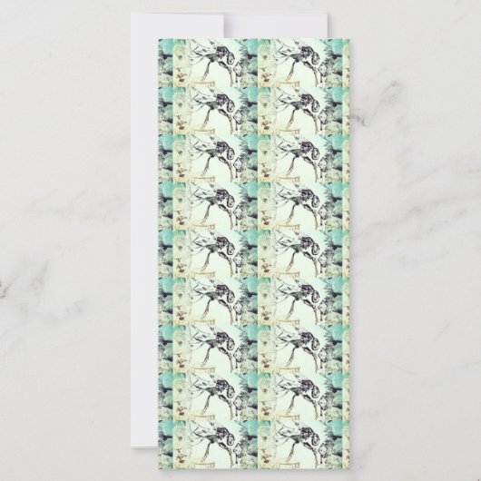 De vlieg en de boe (Voorkant)