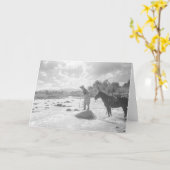 De vlieg van Frances Phelps Belden visserij Kaart (Gele Bloem)