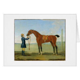 De vliegende Childers van de hertog van Devonshire