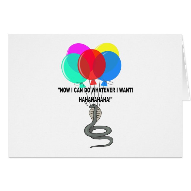 De vliegende slang (Voorkant Horizontaal)