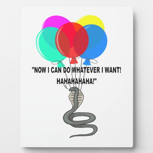 De vliegende slang fotoplaat (Voorkant)