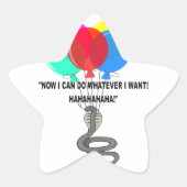 De vliegende slang ster sticker (Voorkant)