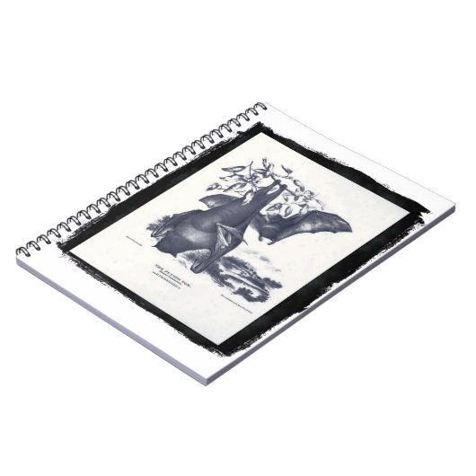 De vliegende vos notitieboek (Linkerzijde)