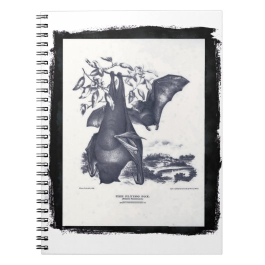 De vliegende vos notitieboek (Voorkant)