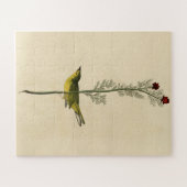 De vliegenvanger van Selby - de Amerikaanse vogels Legpuzzel (Horizontaal)