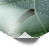 De vlinder en de bladeren foto afdruk (Hoek)