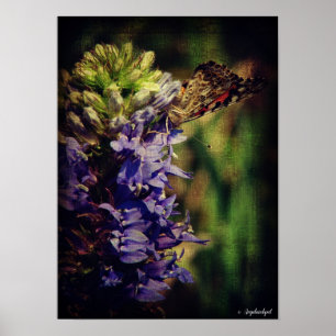 De vlinder en paarse bloemen poster