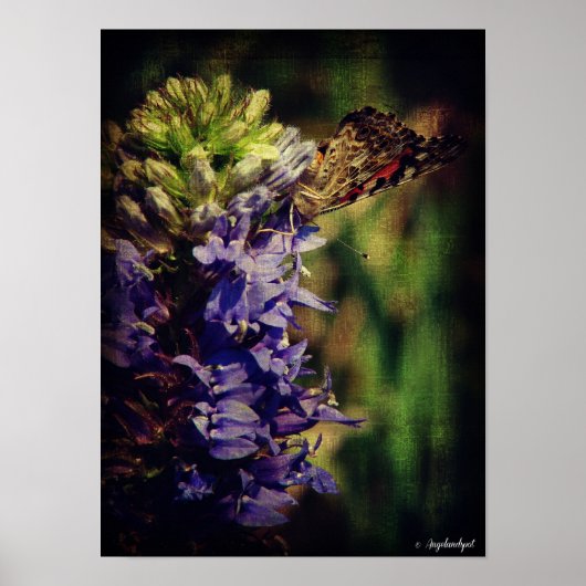 De vlinder en paarse bloemen poster (Voorkant)