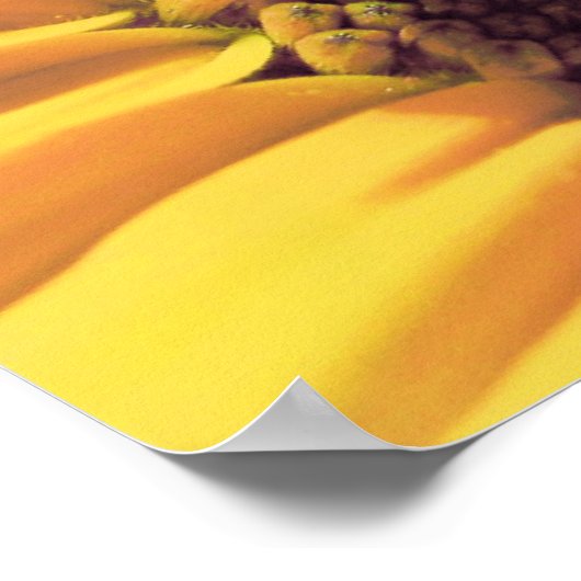 De vlinder is een vliegende ventilator poster (Hoek)