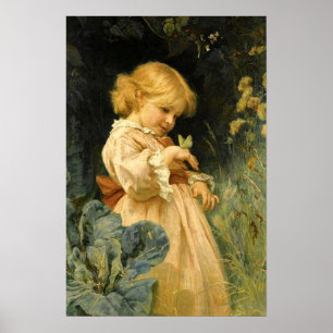 De vlinder poster
