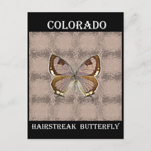 De Vlinder van Colorado Hairstreak Briefkaart (Voorkant)
