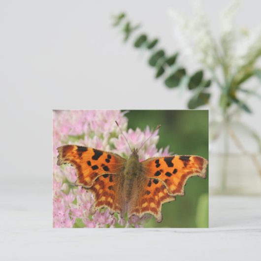 De Vlinder van de komma Briefkaart (Staand voorkant)
