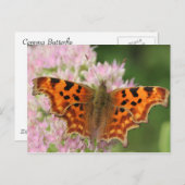 De Vlinder van de komma Briefkaart (Voorkant / Achterkant)