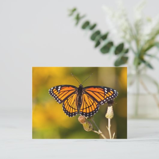 De Vlinder van de monarch Briefkaart (Staand voorkant)