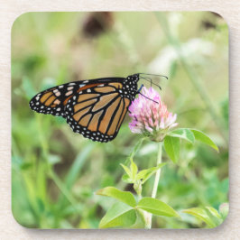 De Vlinder van de monarch Drankjes Onderzetter