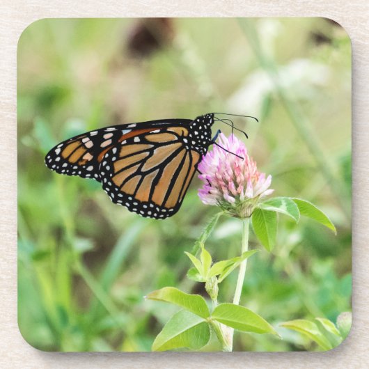 De Vlinder van de monarch Drankjes Onderzetter (Voorkant)