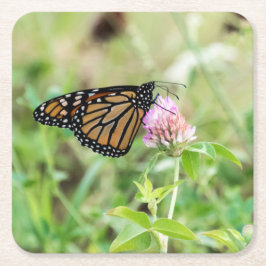 De Vlinder van de monarch Kartonnen Onderzetters