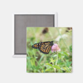 De Vlinder van de monarch Magneet (Voorkant / Achterkant)