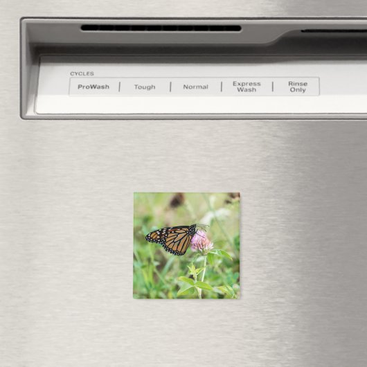 De Vlinder van de monarch Magneet (Insitu (Vaatwasser))