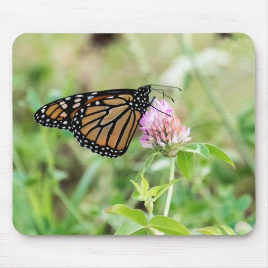 De Vlinder van de monarch Muismat (Voorkant)