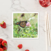 De Vlinder van de monarch Servet (Insitu)