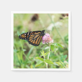 De Vlinder van de monarch Servet