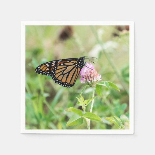 De Vlinder van de monarch Servet (Voorkant)