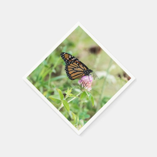 De Vlinder van de monarch Servet (Hoek)