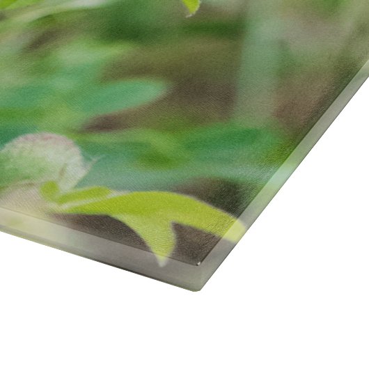 De Vlinder van de monarch Snijplank (Hoek)